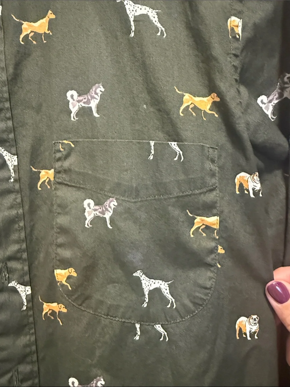 J. Crew Secret Wash Shirting Dog Button up